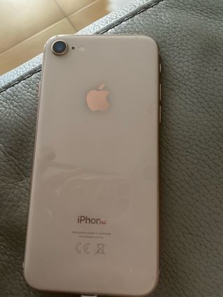 iPhone SE Rosa - Schermo Rotto