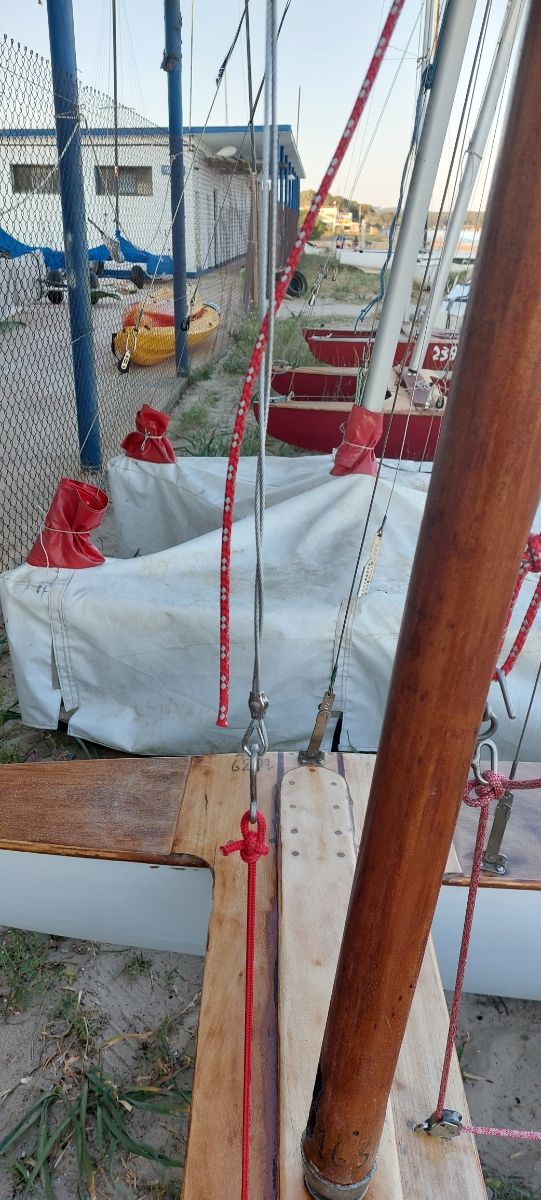 TOKE 1639 - Patí català