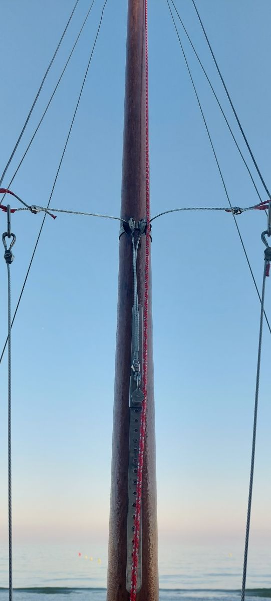 TOKE 1639 - Patí català