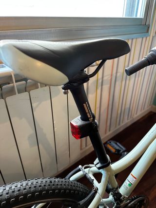 Bicicleta Trek Precaliber
