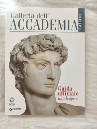 Galleria dell'Accademia   Guida ufficiale