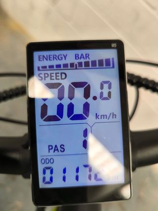 Bicicleta eléctrica montaña