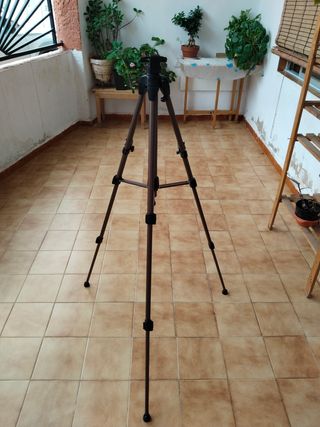Trípode cámara extensible