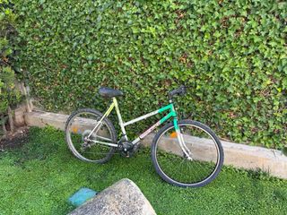 Bicicleta montaña vintage
