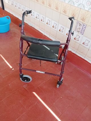 Andador ancianos 