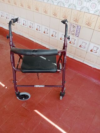 Andador ancianos 