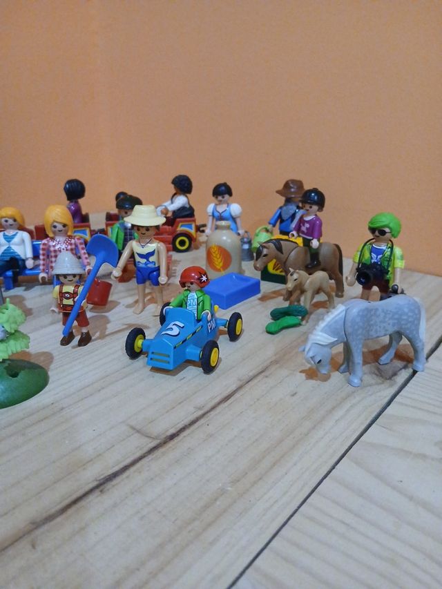 Lote Playmobil: Figuras y accesorios