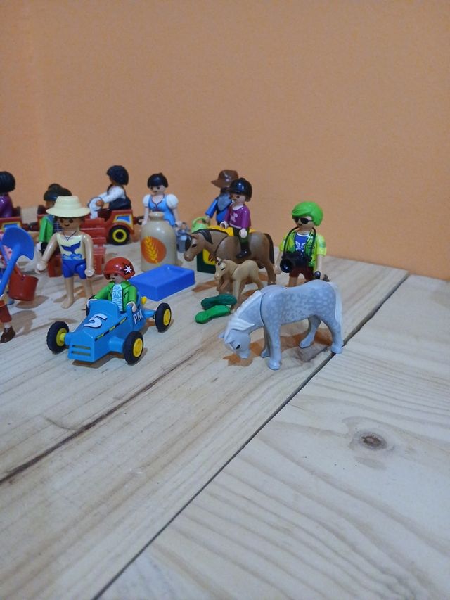Lote Playmobil: Figuras y accesorios