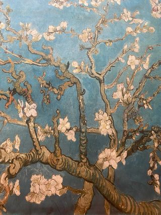 Blusa viacoaa leggerissima stampa Van Gogh