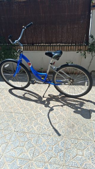 Bicicleta Jamis Earth Cruiser  freno contrapedal. 