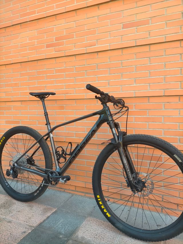 Orbea Alma M50 L - Bicicleta carbono