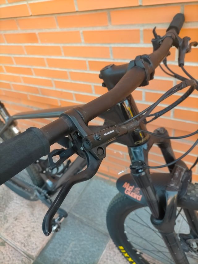 Orbea Alma M50 L - Bicicleta carbono