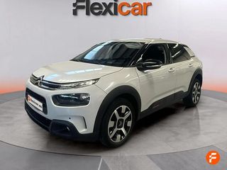 Citroën C4 Cactus PureTech 96kW (130CV) S&S Shine