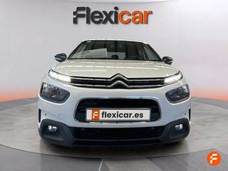 Citroën C4 Cactus PureTech 96kW (130CV) S&S Shine