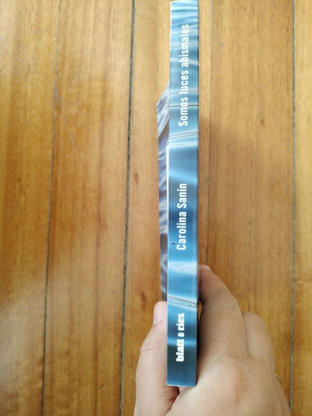 Somos luces abismales (Spanish Edition)