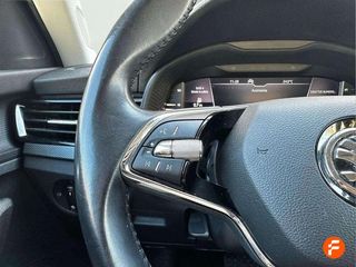 Skoda Kamiq 1.0 TSI 81kW (110CV) DSG Ambition