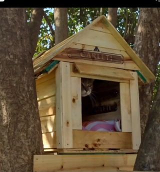 Casa para gatos