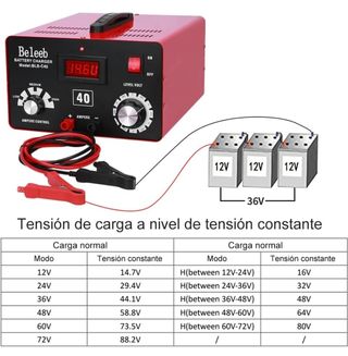 Cargador Baterías profesional 