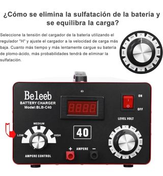 Cargador Baterías profesional 
