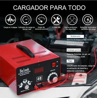 Cargador Baterías profesional 
