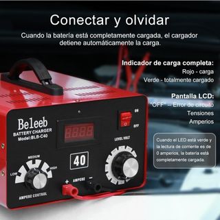 Cargador Baterías profesional 