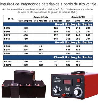 Cargador Baterías profesional 