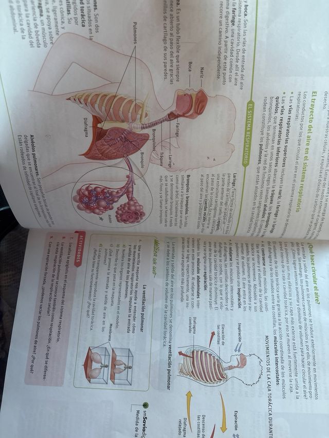 Biología y geología, Arce. 3 ESO. Savia


