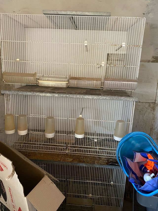 Jaulas pájaros - 5 jaulas blancas dival