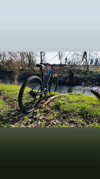 MTB Giant Talon 4