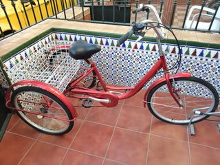 Bicicleta triciclo roja 
