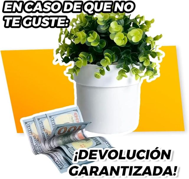 Caja fuerte secreta en maceta