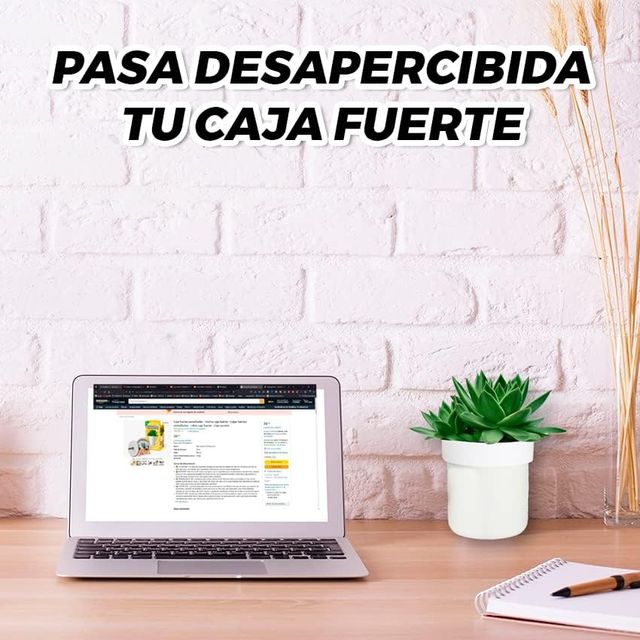 Caja fuerte secreta en maceta