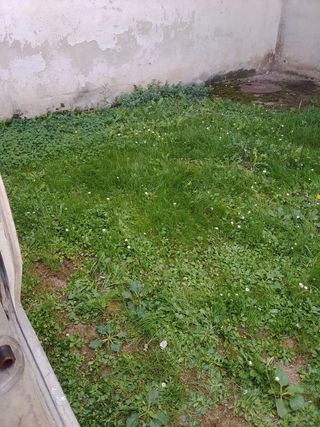 Se hace todo tipo de desbroce limpieza de camino

