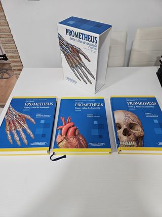 Prometheus. Texto y Atlas de Anatomía