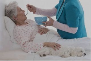 Celadora, sociosanitaria