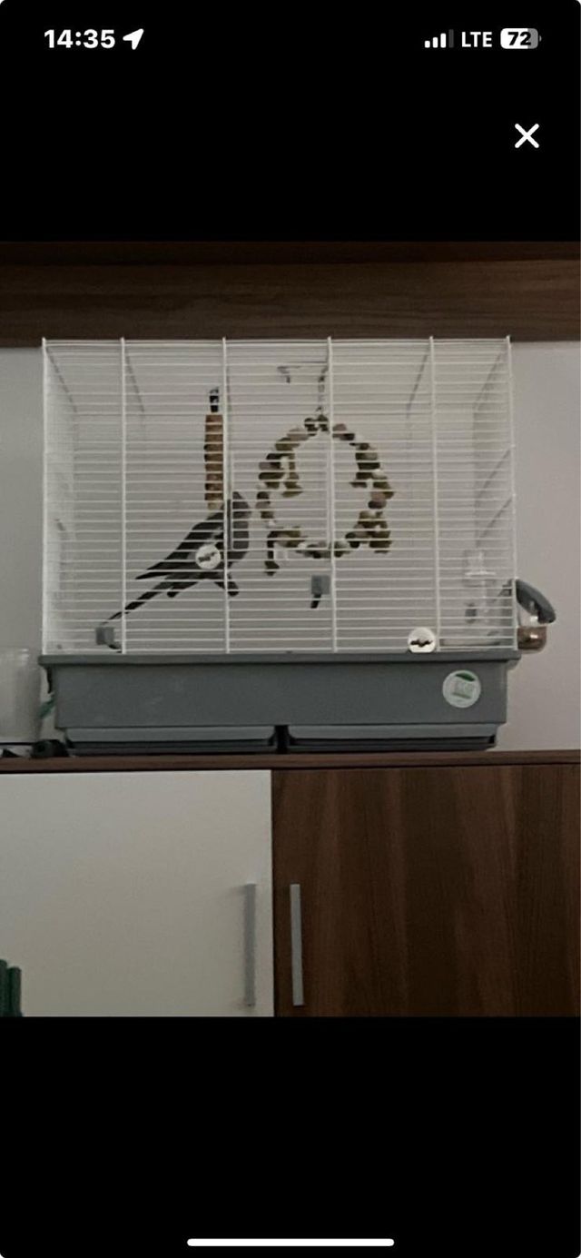 Jaula pajaros grande gris-blanca