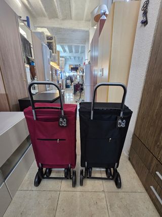 Carritos de compra THERMO plegables- 35e cada uno