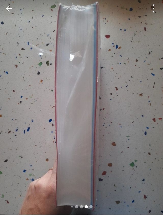 Diccionario Secundaria y Bachillerato. Lengua e...