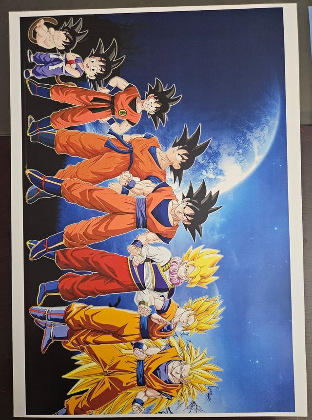 Poster di Dragon Ball - Goku e famiglia
