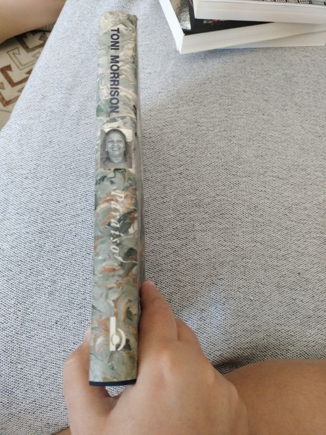 Paraiso (Spanish Edition)