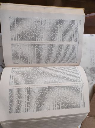 Vocabolario della lingua latina