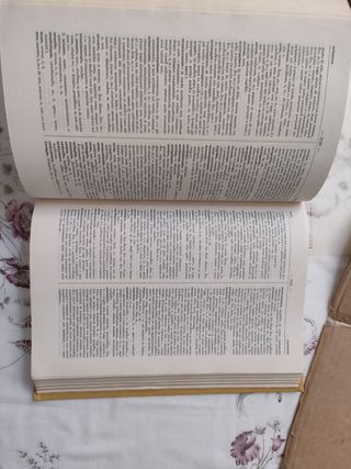 Vocabolario della lingua latina