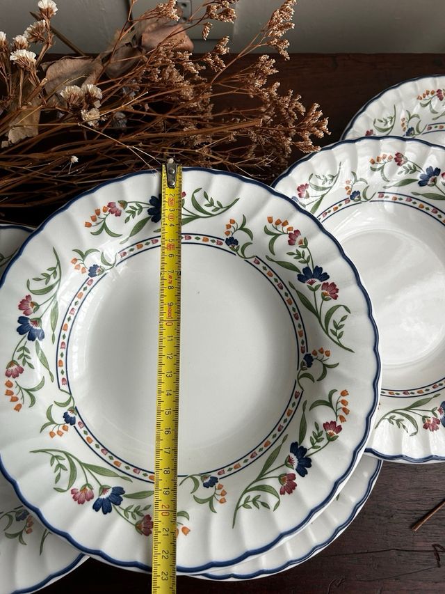 Platos hondos loza inglesa Staffordshire