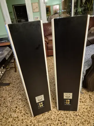 Altavoces JM Lab Electra 915.1
