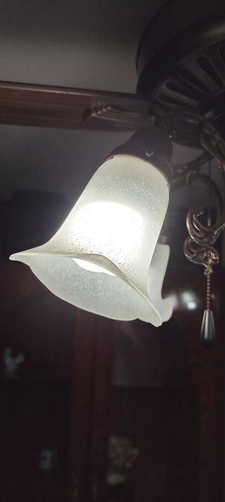 Ventilador con lamparás(LED) de flores de cristal 
