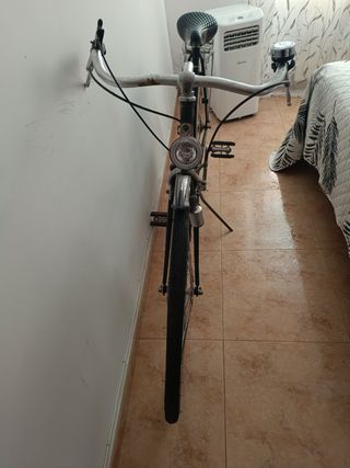 Bicicleta clásica vintage