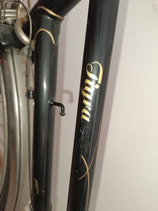 Bicicleta clásica vintage