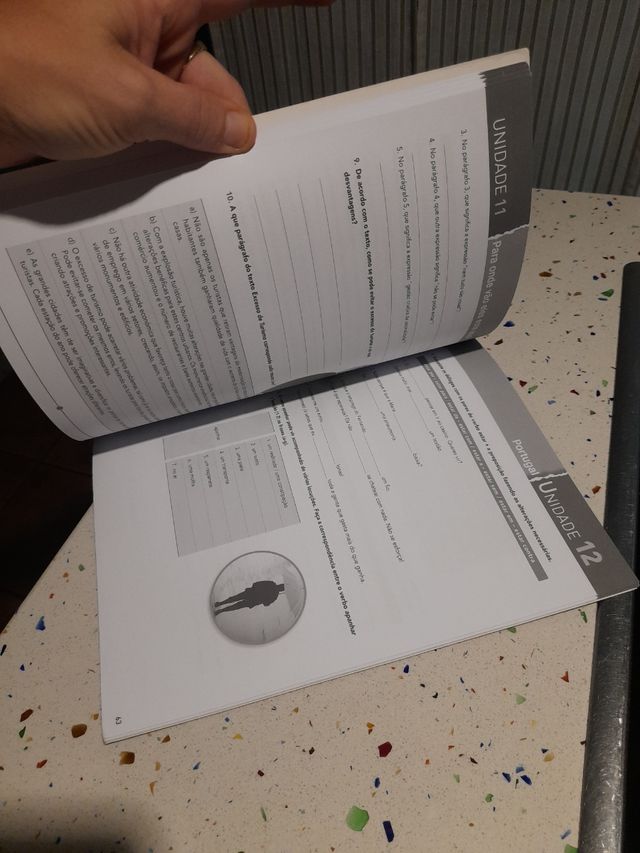 Português em Foco 2 Caderno de exercícios (Port...