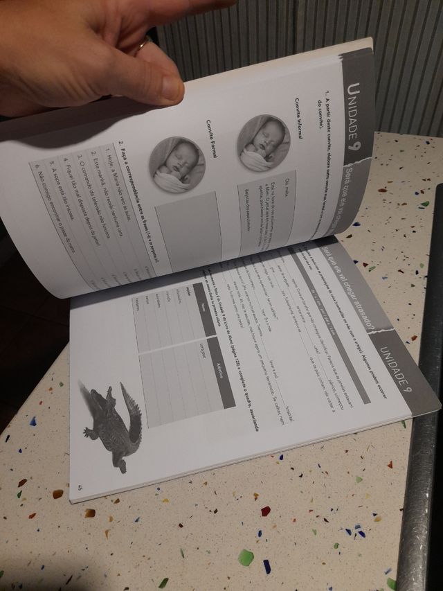 Português em Foco 2 Caderno de exercícios (Port...