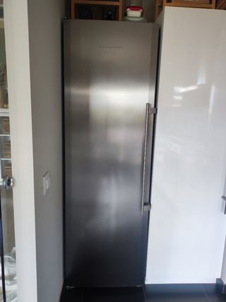 Congelador acero inoxidable Liebherr